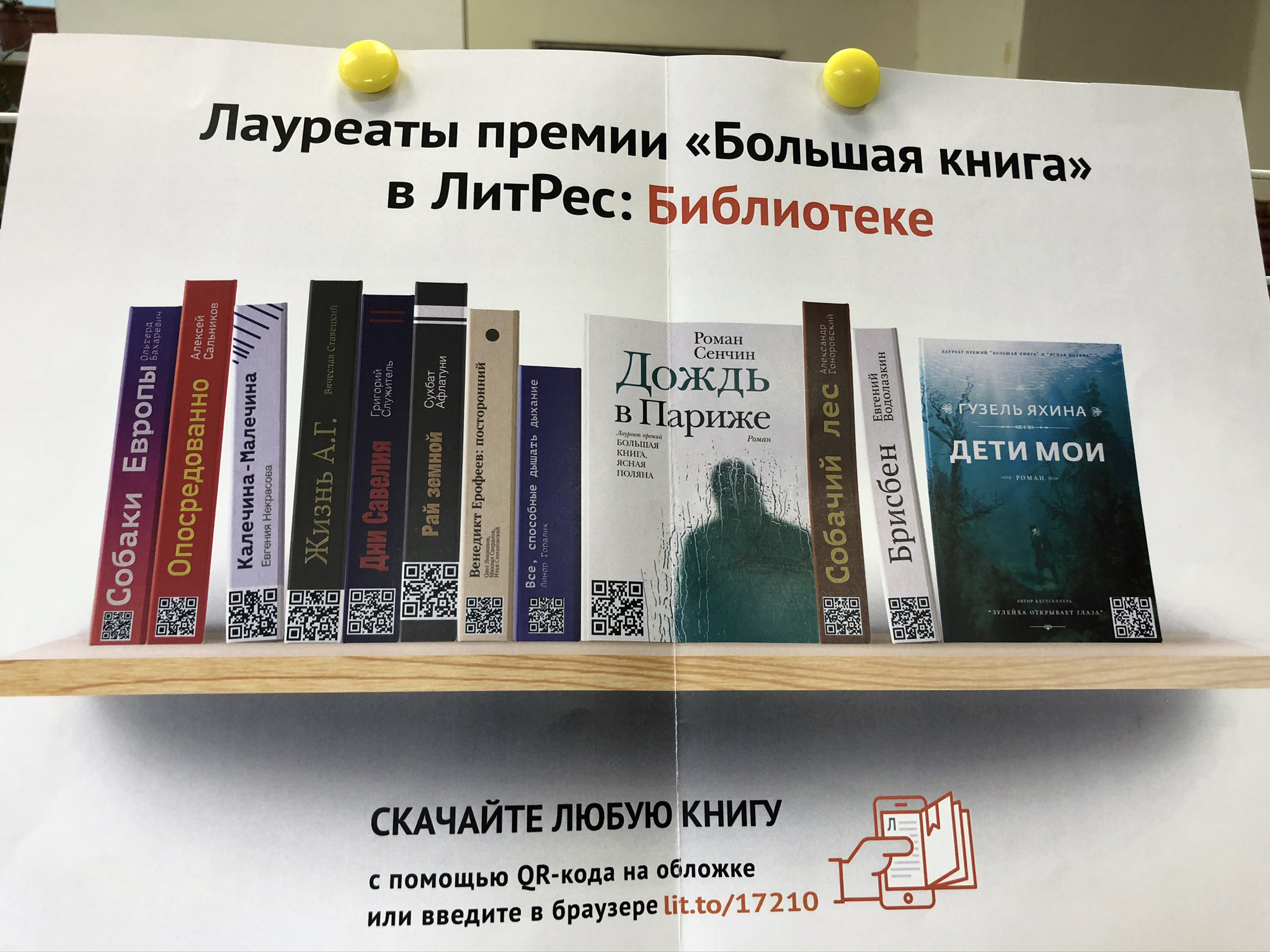 Книги литрес отзывы. Реклама ЛИТРЕС В библиотеке. ЛИТРЕС бестселлеры. ЛИТРЕС лучшие книги. Бумажные книги с ЛИТРЕС.